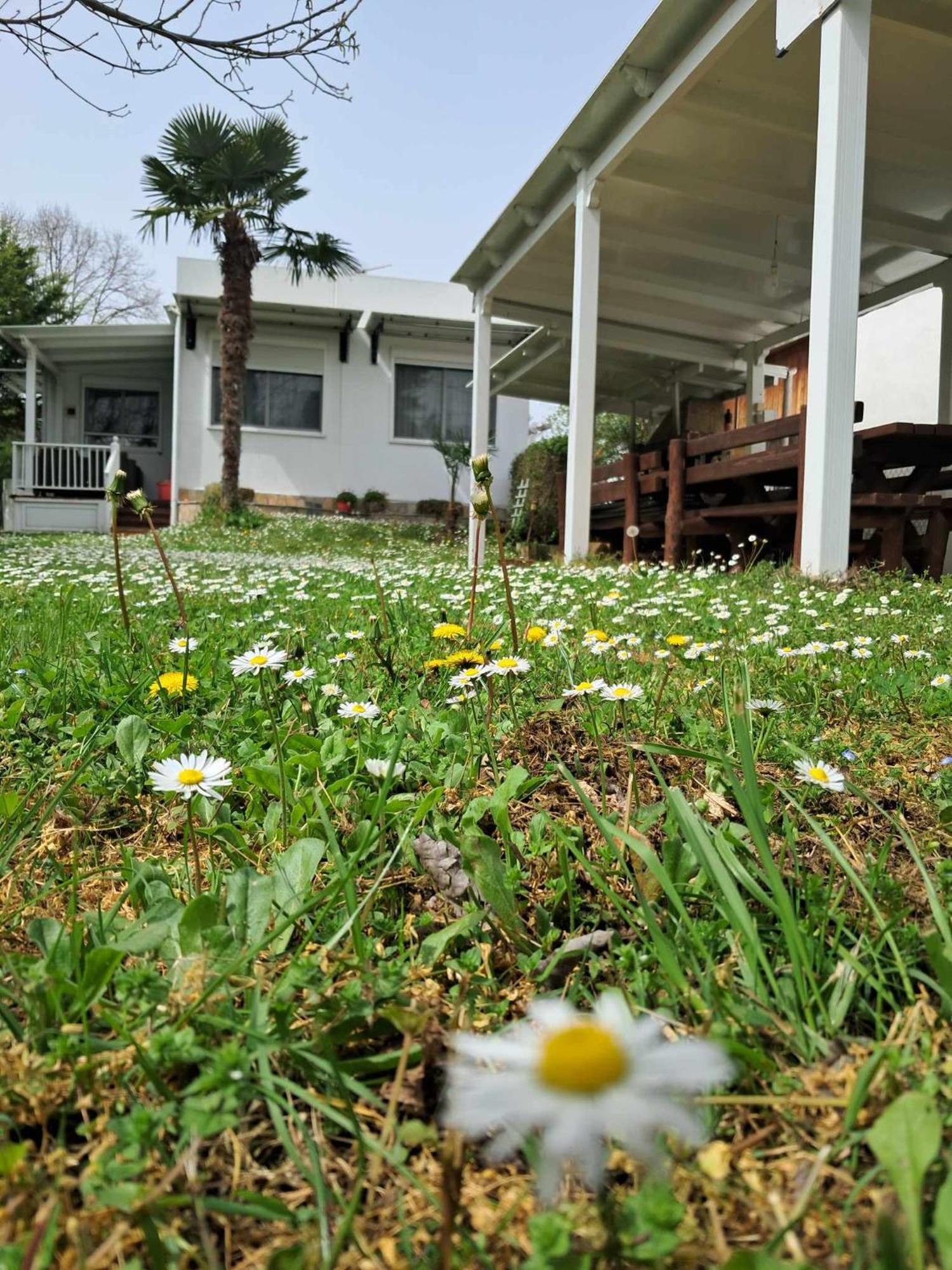 Olympus Miracle Villa Limin Litochorou Exterior photo